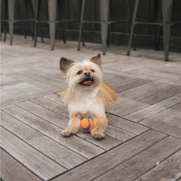 Meet your Posher, Esa - Picture 1 of 1